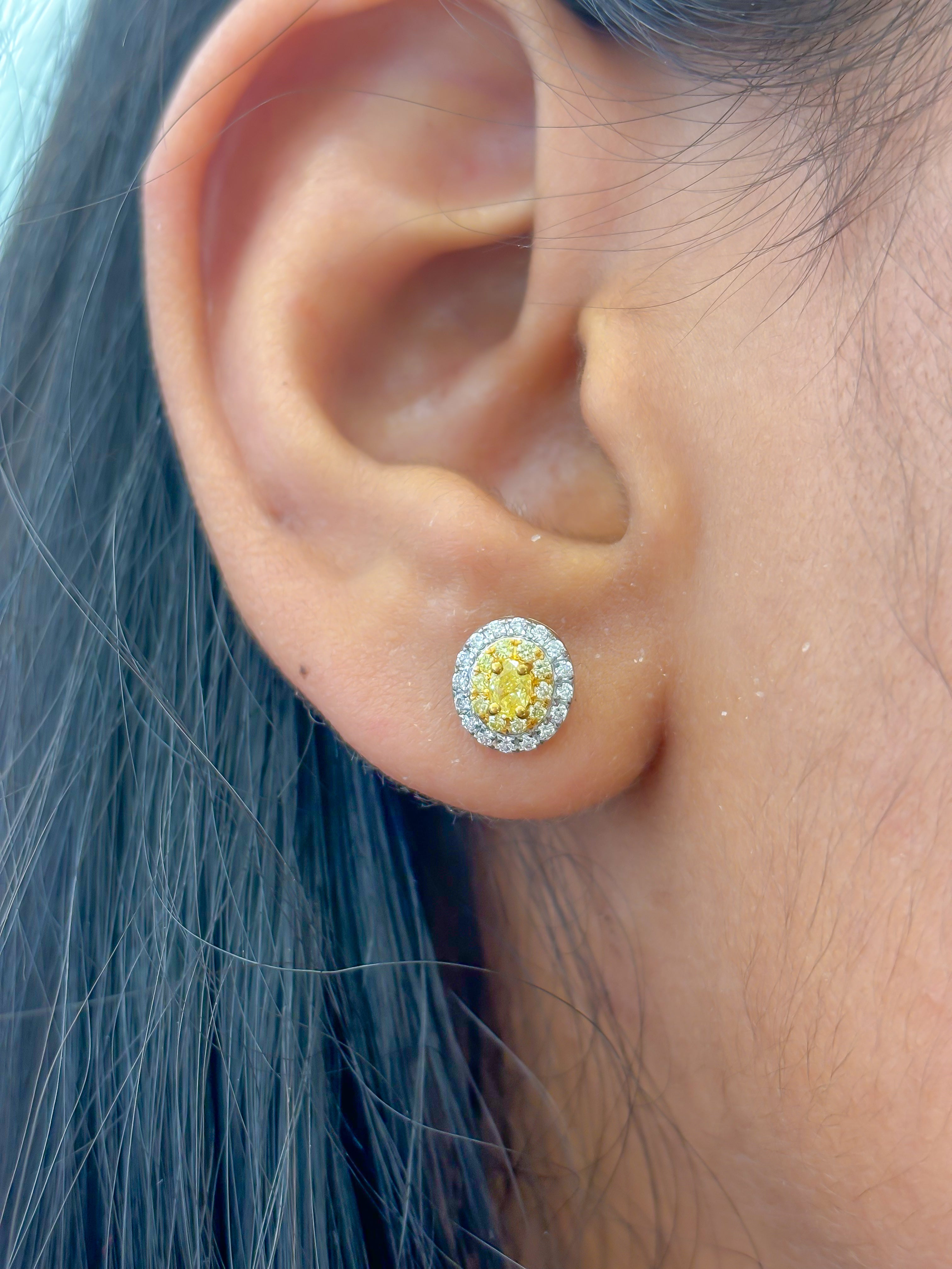 JPERG-3468/8979 Diamond Yellow Diamond Earring | 18K