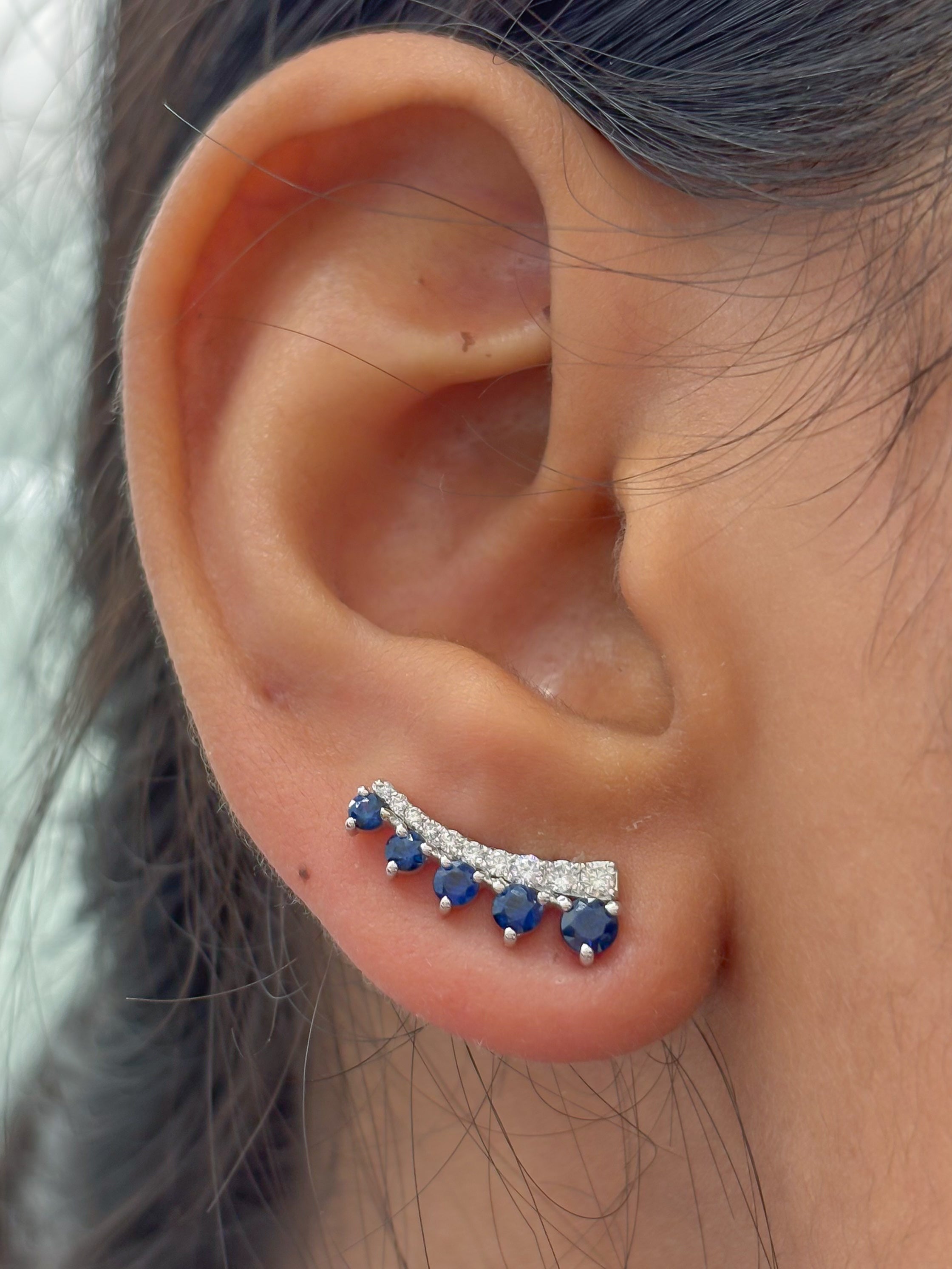JPERG-3982/10931 Blue Sapphire Diamond Earring | 18K