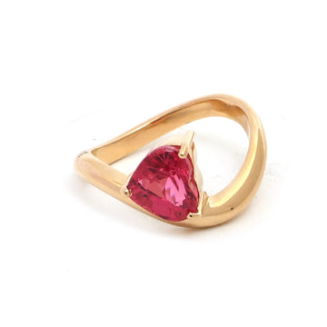 JPRG-5729/13521 Spinal Ring | 18K
